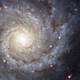 M74